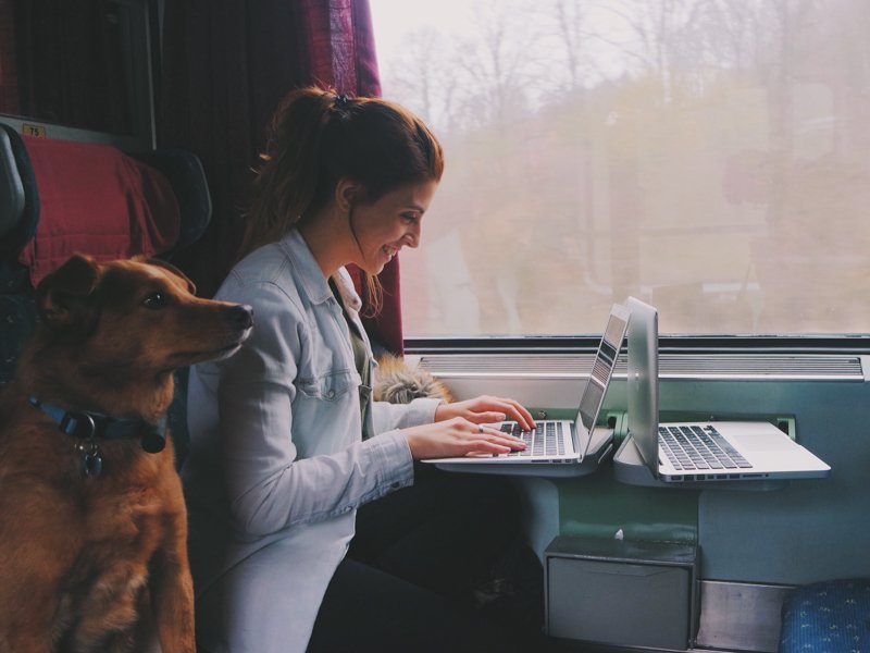 Viajar com cachorros de trem - Pequenos Monstros